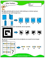 Zeka Gelişim Testleri